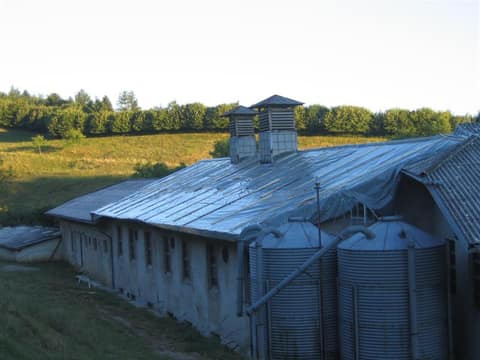 Neurje na ilirsko bistriškem – fotografija 14