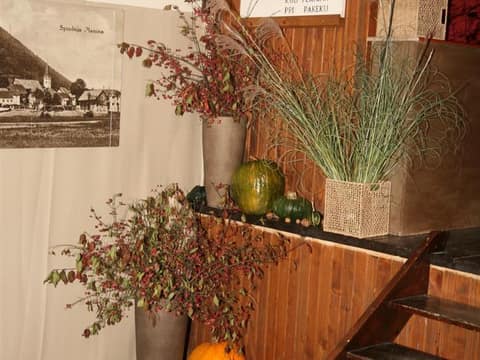 Obrazi planinskega polja – fotografija 13