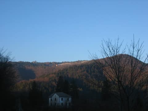 Planinska gora – fotografija 3