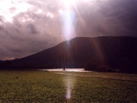 Planinska gora – fotografija 4