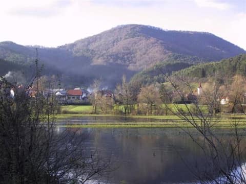 Planinska gora – fotografija 5
