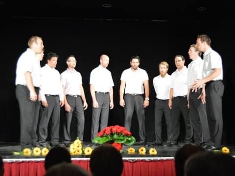 Koncert ob 10. obletnici delovanja (2015) – fotografija 4