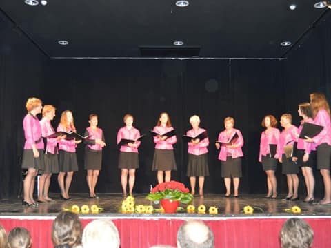 Koncert ob 10. obletnici delovanja (2015) – fotografija 5